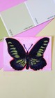 Black Butterfly #5 Original ACEO Mini Art OOAK JessaCreationShop — photo 1