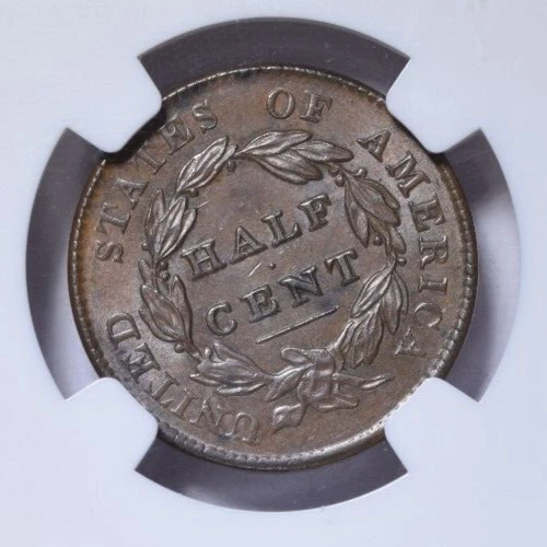 1828 CLASSIC HEAD HALF CENT ~ NICE ORIGINAL NGC MS62 BN! - Image 4 of 4