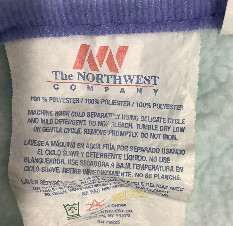 Vintage Care Bears Throw Blanket Northwest Fleece 50”x60” Pink Blue