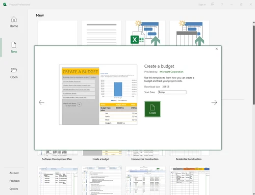 Microsoft Project Standard 2021. Global Lifetime Activation. New