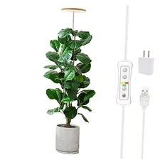 Plant Grow Light, LED Growing Light Full Spectrum for Indoor 1 Pack Bamboo