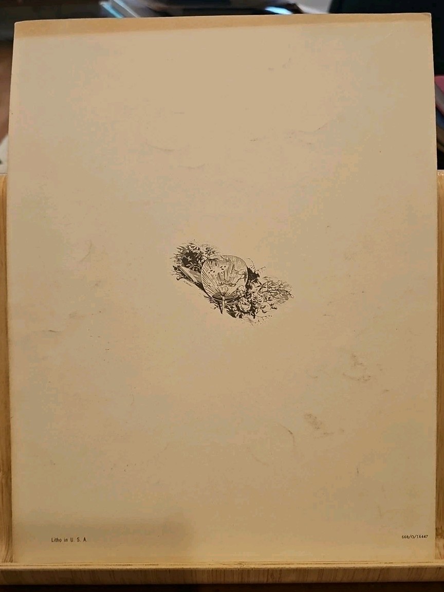 Picture 3 of 3