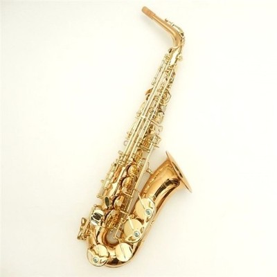 Yanagisawa /A-WO2 Alto Saxophone Bronze Brass Lacquer Finish New /Made in Japan
