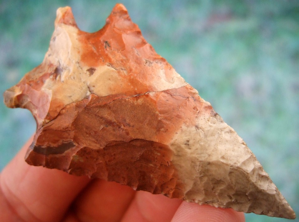 Super Fine Colorful G10 Georgia Coastal Flint Gilchrist Point wt COA ...