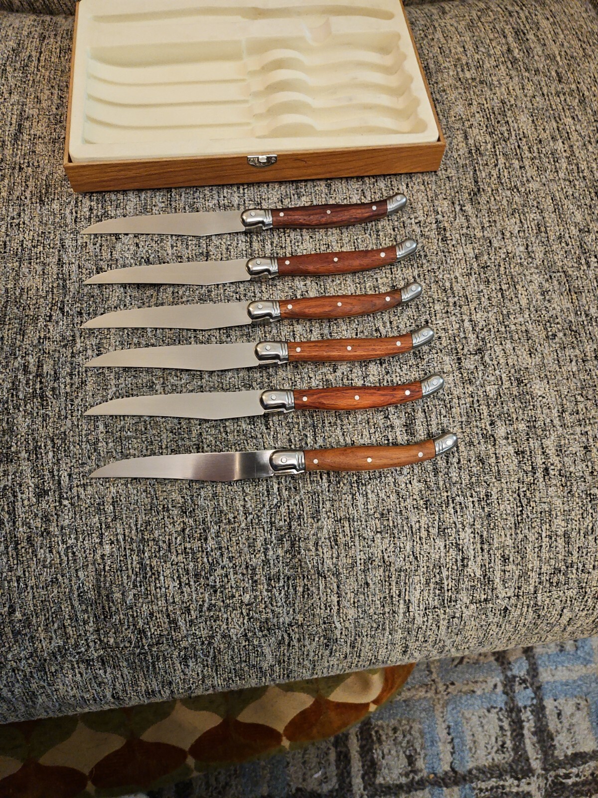 Brandani Inox Italian Style Non stick Stainless Steel Rain Steak Knives