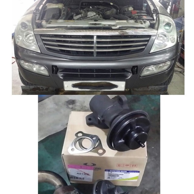 Ssangyong egr remover