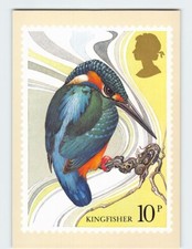 Postcard British Birds Kingfisher Stamp by Michael Warren