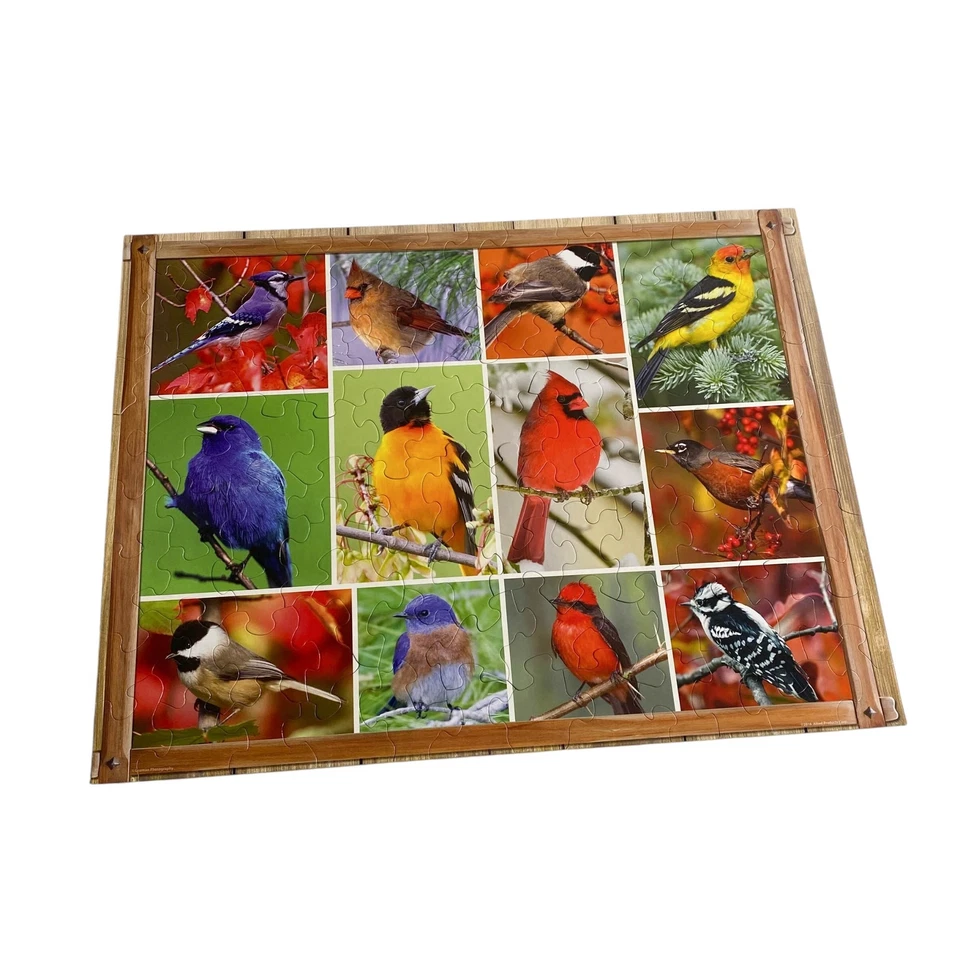 Puzzle Springbok Da Ricordare Uccelli Canori XL 100 Pezzi Completo - Immagine 2 di 3