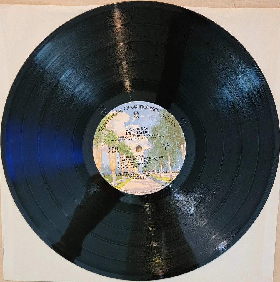 James Taylor, Walking Man, Vinyl LP, Warner Brothers W-2794, 1974. Foto 3 de 4