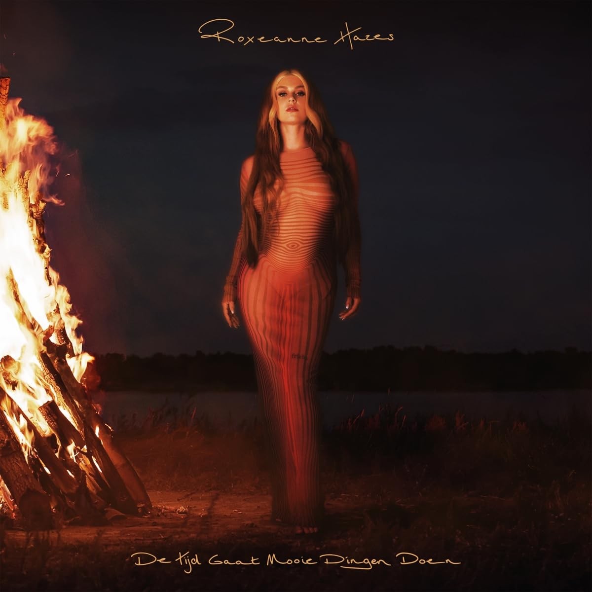 De Tijd Gaat Mooie Dingen Doen (Vinyl LP)