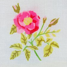 Pink Rose with Leaves and Buds Needlepoint Canvas 18ct Craft Vintage