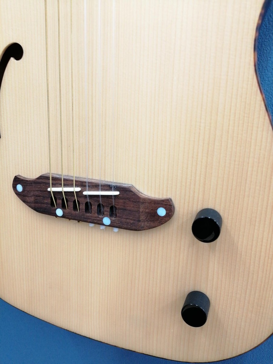 Schetter JOLシリーズ セミアコースティックギター Schetter JOLシリーズ セミアコースティックギター SCHECTER