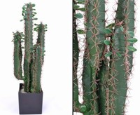 KüNstlicher Sukkulenten Kaktus Wolfsmichl 75Cm Mit Topf Von Ibizanos