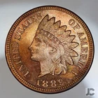 1889 1C Indian Head Cent PROOF RB Light Toning Partial Cameo on Obverse