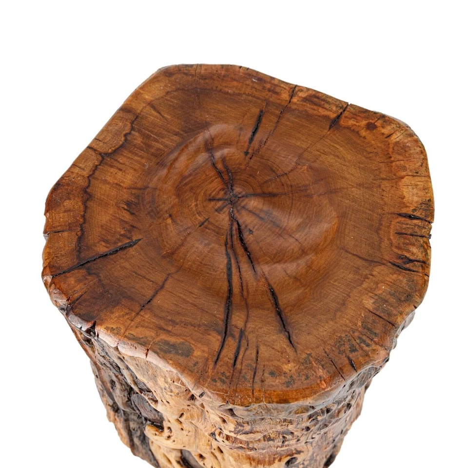 Taburete de tocón de tronco de árbol natural con borde vivo madera maciza soporte para plantas mesa de acento Foto 3 de 4