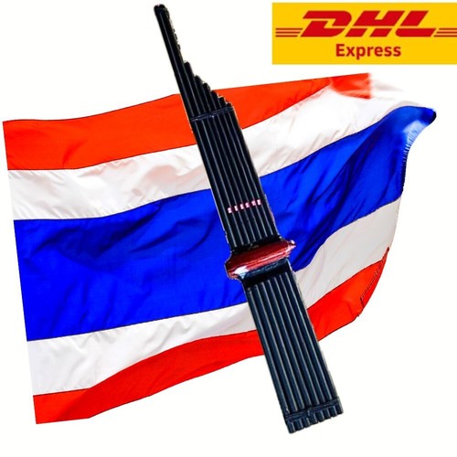 Black Khaen Bambus Thai Isan Musikinstrument Mundorgel Profi #AM - Bild 3 von 9