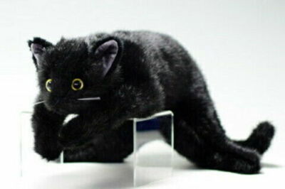 stuffed black cat realistic