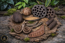 Botanical Aquarium Box Lotus Pods Bark Tubes Canoinhas Palmyrah Shrim Aquarium