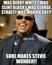 STEVIE WONDER FUNNY MAN CAVE Beer Fridge Magnet or Glossy Decal    F45