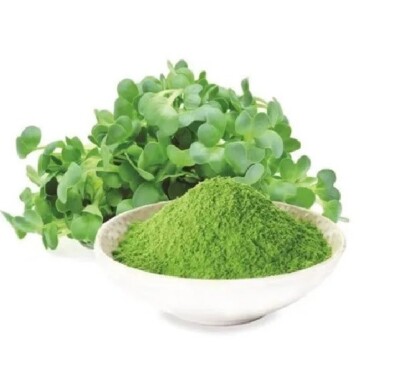   Alfalfa Leaves Powder (Medicago Sativa) | The Superfood for Everyday Wellness