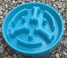 top paw slow feeder bowl