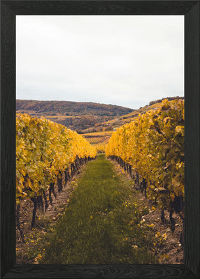 Golden Vine Corridor Gerahmtes Wandbild Poster Leinwanddruck Bild