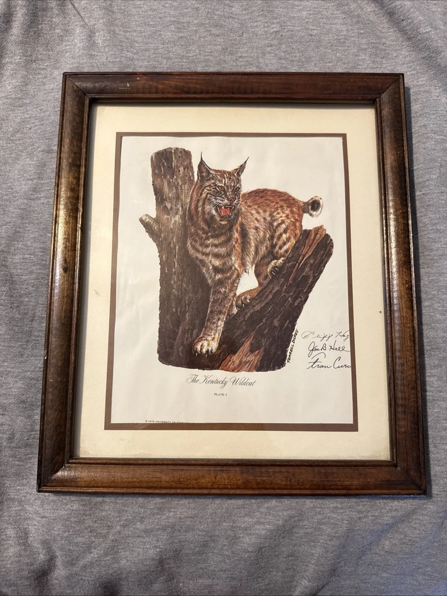 25+ wildcat print for sale | Updated Oct 2026