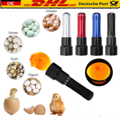 LED Prüflampe Schierlampe Bruteier Eierdurchleuchter Inkubator Eier Brutmaschine