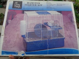 all living things hamster