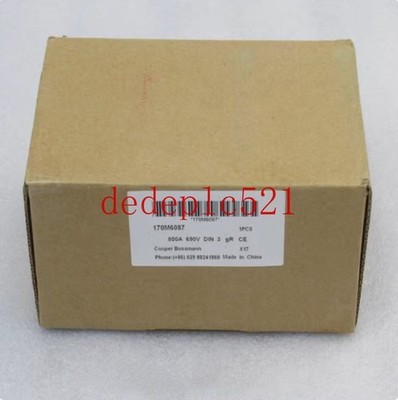 1 PCS NEW IN BOX   Schmelzer 170M6087 *lm