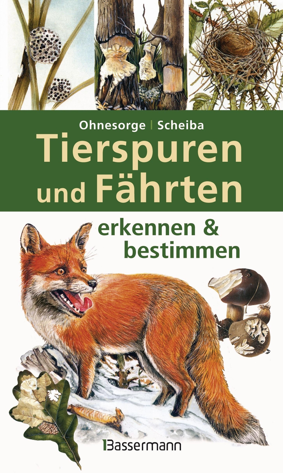 Thumbnail - Tierspuren Und Fährten Erkennen & Bestimmen Gerd Ohnesorge