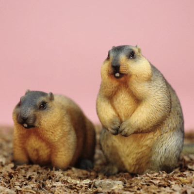JXK 1/6 Yell Marmota Guinea Pig Groundhog Figure Wild Animal Model  XmasGift