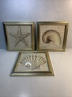 Three Piece Kirkland's Home Beach Wall Décor Framed Beach Shells Starfish 9.5"