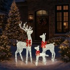 Yescom 3-Piece 5FT Christmas Reindeer Family with Silver LEDs for Home Decor — photo 1