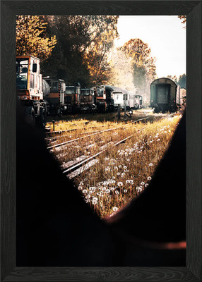 Abandoned Train Yard Dandelion Fiel Framed Wall Art Poster Canvas Print Picture