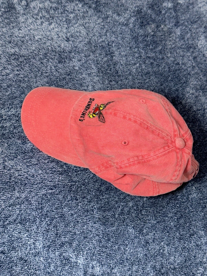 Sombrero Sunshine Para Hombre Rosa Abeja Empire State Ajustable Adams Slideback Foto 3 de 4