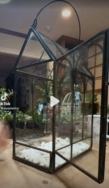 Terrario grande vintage de vidrio y metal 11,75" H x 5,31" W x 8,13" D Foto 3 de 4