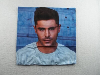 Zac Efron Pillow Cover Case Art Cotton Blend Home Decor 17