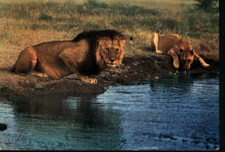 TANZANIA 1967 POST CARD 