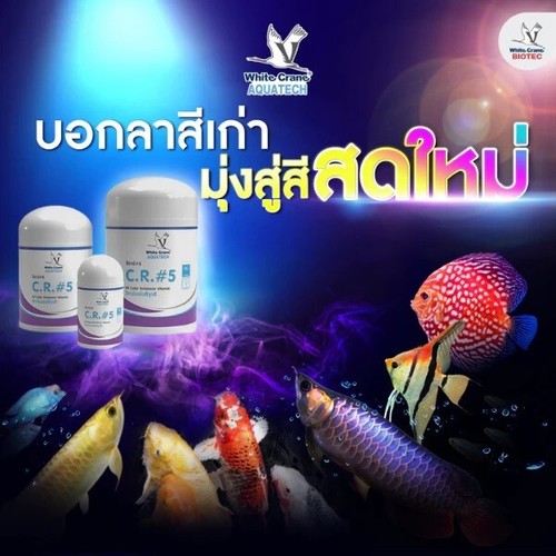 500g.GRU BIANCA C.R.#5 aumento vitaminico esaltatore tutti i colori allevamento pesce alimenti - Foto 8 di 17