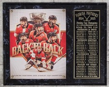 Florida Panthers 2024-2025 Stanley Cup Champions 12" X 15"  Plaque