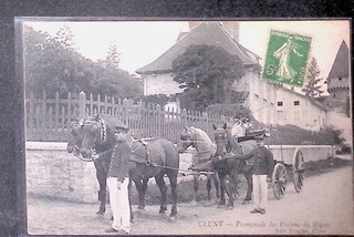 CPA CLUNY Promenade des Etalons du haras