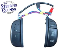 1998-2004 F-250 F-350 SUPER DUTY CRUISE CONTROL SWITCH SET NEW 1C3Z-9C888-AA