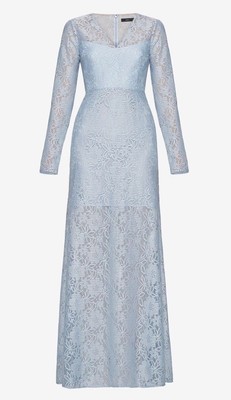 bcbg long sleeve gown