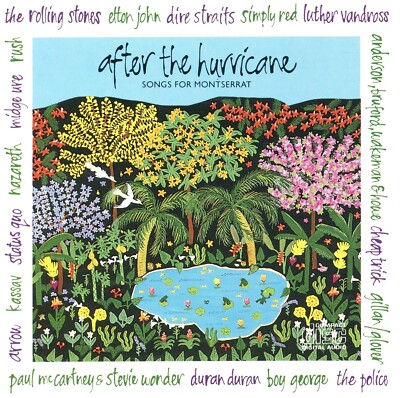 After the Hurricane by Various Artists (CD, 1989, Chrysalis Records) PRISTINE CD