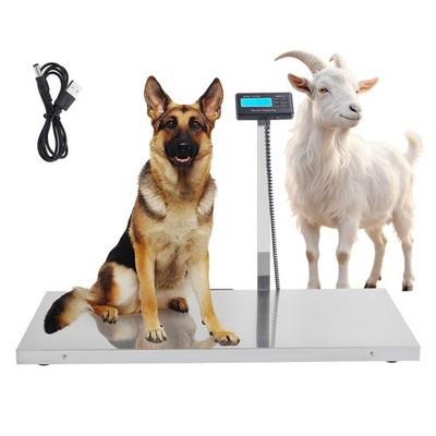 40.5x20.9'' 1100Lb Floor Livestock Scale 0.2Lb Precision Stainless Steel Platform