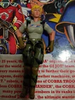 Viper Lockdown 2006 GI JANE V1 figure Only