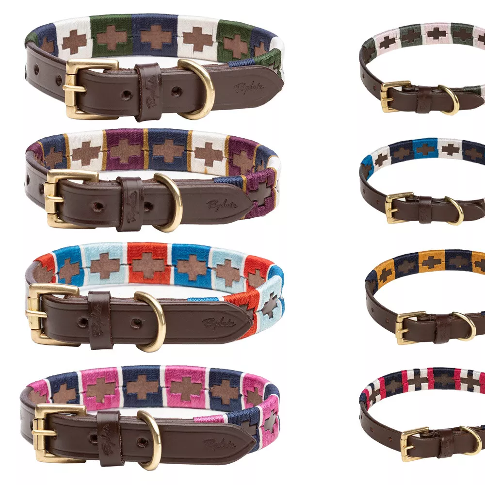 Polo belt dog collar sales