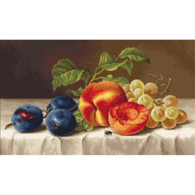Counted Cross Stitch Kit Still life Luca-S DIY