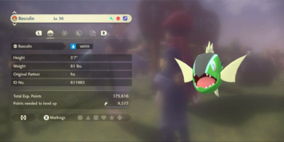 Pokemon Legenden Arceus 6 IV Shiny Alpha WEISS GESTREIFT BASCULIN